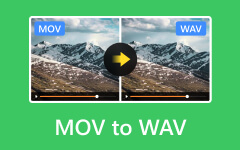 MOV en WAV