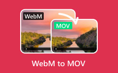 WebM to MOV