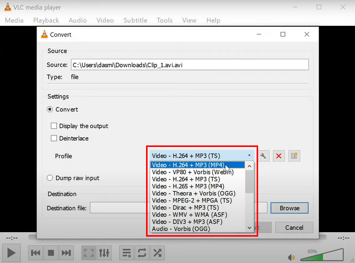 Select MP4 Container