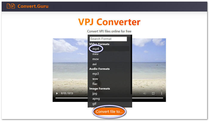 Convert Guru Convert VPJ to MP4 Free Online
