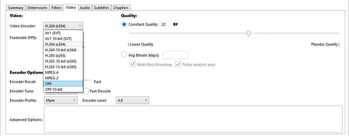 Handbrake Rich Output Codec Options