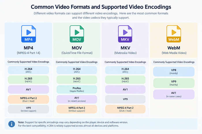 Video Formats And Supported Codecs