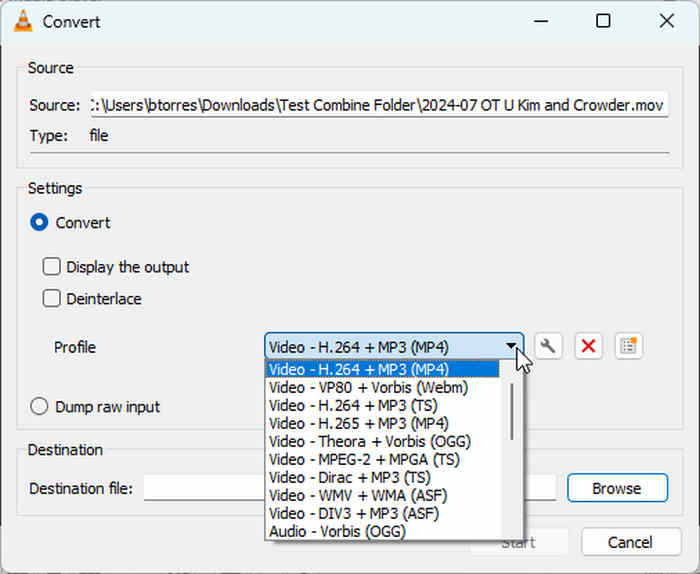 Vlc Converter Interface