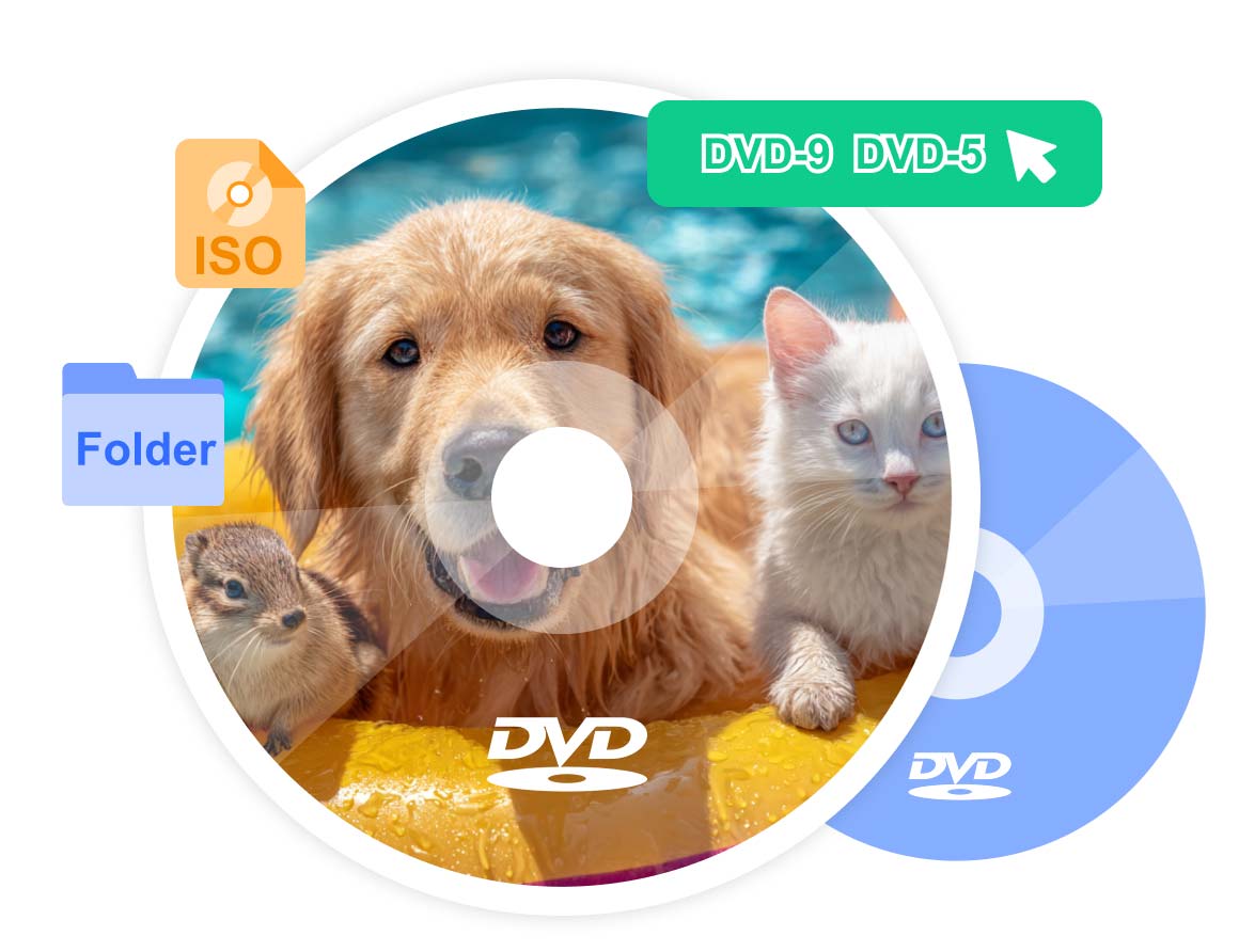 Clone/Copy DVD Discs