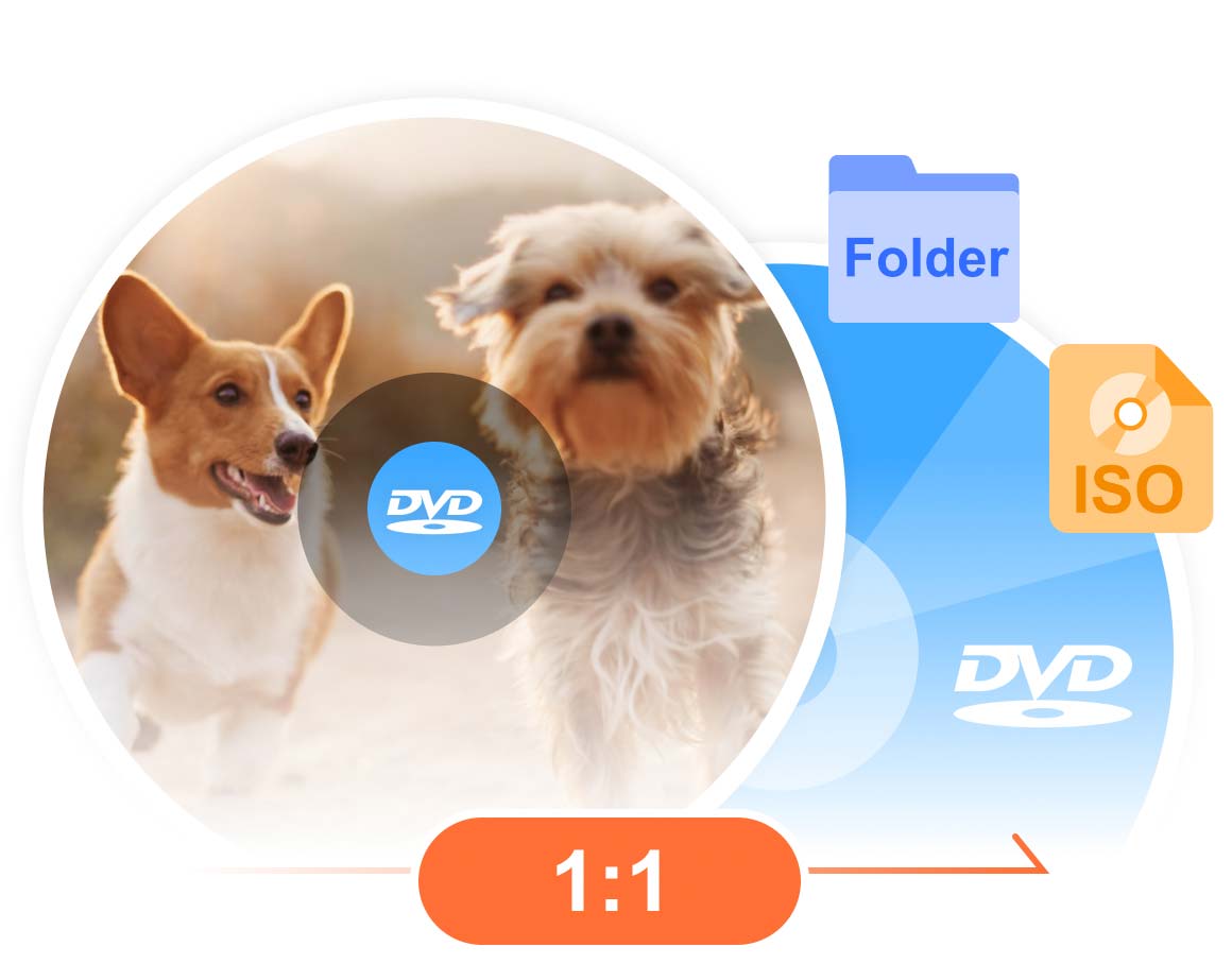 Copy Dvd to Disc Iso Folder
