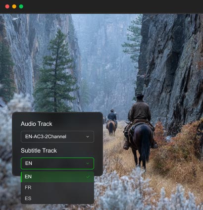 Adjust Subtitles and Audio Tracks