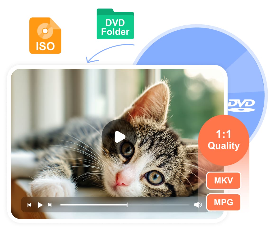 Rip DVD to ISO or Folder