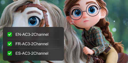 Manage DVD Subtitle and Edit Audio Tracks