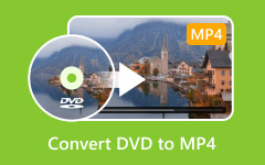 Převod DVD na MP4