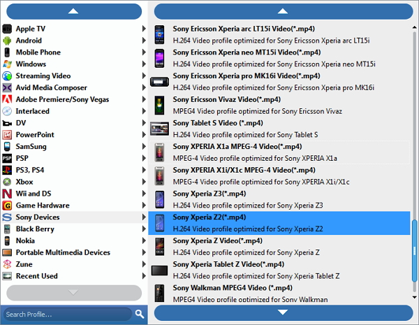 Ottimizza il file sorgente