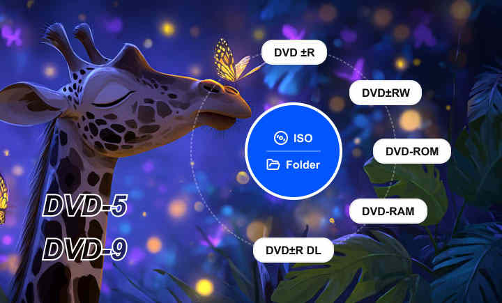 Rip All DVD Types with Ease