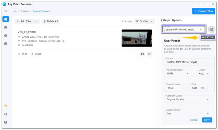 Any Video Converter Rip DVD to MP4