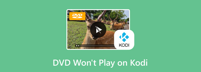 DVD Won't Play on Kodi