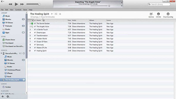 Transfiere música con iTunes