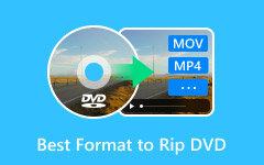 Best Formats to Rip a DVD