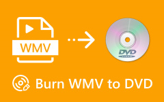 Burn WMV to DVD