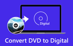 Konverter DVD til Digital