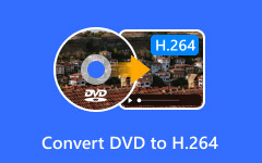 Convertire DVD in H264