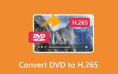 Convert DVD to H265