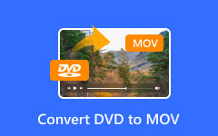 Converter DVD para MOV