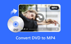 DVD til MP4