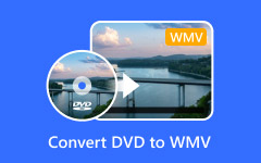 Μετατροπή DVD σε WMV