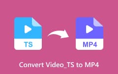Convert Video_TS to MP4