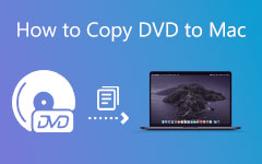 Creatori di DVD gratuiti