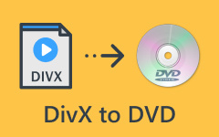 تحويل DivX إلى DVD