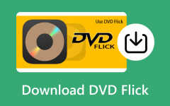Hämta DVD Flicks