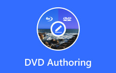 Authoring DVD