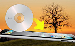 Convert DVD to iPad compatible formats