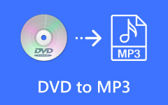 DVD a MP3
