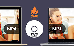 MP4 para criadores de DVD