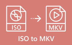 ISO MKV: lle