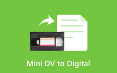 Mini DV to Digital