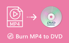 MP4 naar DVD