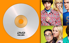 Rip Big Bang Theory Temporada 8 DVD