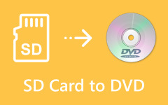 SD Card to DVD