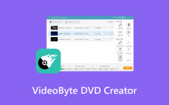 VideoByte دي في دي الخالق