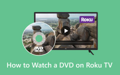 Bekijk een dvd op Roku TV