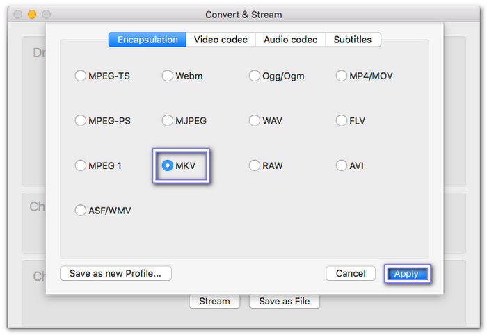 VLC Rip DVD to MKV
