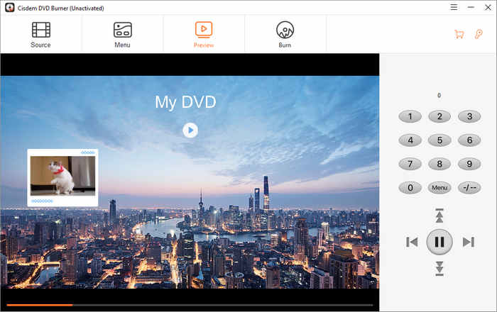 DVD Playback Review