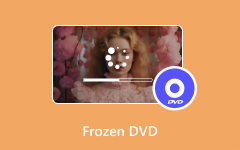 Dondurulmuş DVD