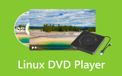 Linuxový DVD přehrávač