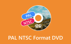 DVD ve formátu PAL NTSC