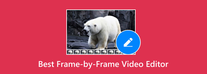 Best Frame By Frame Video Editor