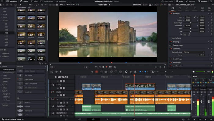 Davinci Video Frame Editor