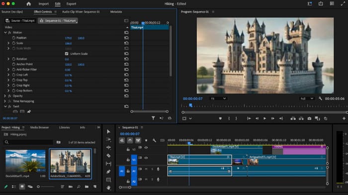 Premiere Video Frame Editor