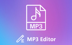 MP3 Editör